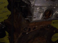 двигатель Alfa Romeo 146 1 поколение (1995 - 2001), 1.4 л., AR 38501, бензин, МКПП, хетчбэк 5 дв., передний привод, AR, AR38501 - фото №6