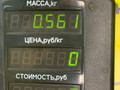 блок управления двигателем Opel Astra F 1994, 1.6 л., X 16 SZ, бензин, АКПП, синий, хетчбэк 5 дв., передний привод, 16204869, D95009 - фото №4