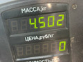 амортизатор передний правый Ford Focus 1 поколение [рестайлинг] 2003, 1.6 л., бензин, МКПП, серебристый, седан - фото №3