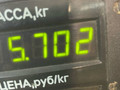 амортизатор передний левый Opel Astra G 1998, 1.6 л., X 16 XEL, бензин, МКПП, зеленый, универсал - фото №4