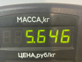 стойка передняя левая Opel Astra G 2002, 1.6 л., X 16 XEL, бензин, 5МКПП, синий, универсал, передний привод - фото №3