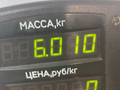 полуось передняя правая (приводной вал, ШРУС) Renault Scenic 1 поколение 1998, 1.9 л., F9Q 716, дизель, МКПП, синий, минивэн, передний привод - фото №3