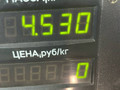 пружина задняя Daewoo Nexia 1 поколение 2001, 1.5 л., i, бензин, 5МКПП, хетчбэк 3 дв., передний привод, A15MF - фото №2