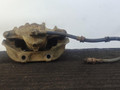 суппорт передний левый Opel Omega B 1996, 2.5 л., дизель, 5МКПП, черный, универсал, задний привод, 42982, 55932, 9106 - фото №11