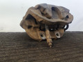 суппорт передний левый Opel Omega B 1996, 2.5 л., дизель, 5МКПП, черный, универсал, задний привод, 55932 - фото №12