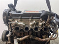 двигатель Opel Astra F 1994, 1.7 л., дизель, 5МКПП, зелёный, хетчбэк 5 дв., передний привод, TC4EE1 - фото №3
