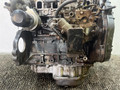 двигатель Opel Astra F 1994, 1.7 л., дизель, 5МКПП, зелёный, хетчбэк 5 дв., передний привод, TC4EE1 - фото №11