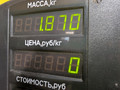 вентилятор радиатора Volkswagen Jetta 4 поколение 2001, 2.0 л., AQY, бензин, МКПП, синий, седан, передний привод - фото №12