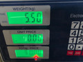 генератор Opel Vectra B 1998, 1.8 л., бензин, МКПП, универсал, передний привод, 10479947 - фото №11