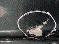 дверь передняя правая Audi 80 8C/B4 1993, 2.0 л., ABT, бензин, МКПП, зеленый, седан, передний привод - фото №4