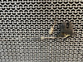 замок багажника Audi 80 8C/B4 1993, 2.0 л., ABT, бензин, МКПП, зеленый, седан, передний привод - фото №4
