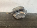 насос вакуумный Mercedes-Benz E-Класс W124 [рестайлинг] W124 1993, 2.5 л., OM 602.911, дизель, МКПП, черный, седан, задний привод - фото №3