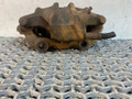 суппорт передний левый Audi 80 8C/B4 1993, 2.0 л., ABT, бензин, МКПП, зеленый, седан, передний привод - фото №3