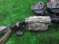 проводка двигателя Renault Laguna 2 поколение 2001, 1.9 л., дизель, МКПП, чёрный, хетчбэк 5 дв., передний привод - фото №4