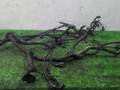 проводка двигателя Renault Laguna 2 поколение 2001, 1.9 л., дизель, МКПП, чёрный, хетчбэк 5 дв., передний привод - фото №6