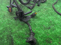 проводка двигателя Renault Laguna 2 поколение 2001, 1.9 л., дизель, МКПП, чёрный, хетчбэк 5 дв., передний привод - фото №23