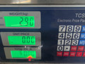 труба приемная глушителя Opel Sintra 1 поколение 1999, 2.2 л., X 22 XE, бензин, МКПП, белый, минивэн, передний привод - фото №9