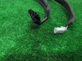 дверная проводка Renault Fluence 1 поколение 2011, 1.6 л., бензин, АКПП, серебристый, седан, передний привод, 241240265 - фото №4