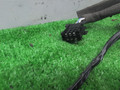 дверная проводка Renault Fluence 1 поколение 2011, 1.6 л., бензин, АКПП, серебристый, седан, передний привод, 241261023 - фото №6