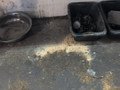 дверь задняя правая Renault Fluence 1 поколение 2011, 1.6 л., бензин, АКПП, серебристый, седан, передний привод - фото №8