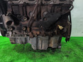 двигатель Ford Mondeo 2 поколение 1996, 2.0 л., бензин, МКПП, красный, универсал, передний привод, RKB - фото №4
