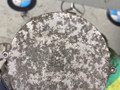 водяная помпа
