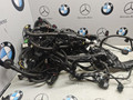 проводка двигателя BMW X5 G05 [рестайлинг] 2023, 3.0 л., бензин, c4p, полный привод, 5A594402, 5A2A790, 5A58C91