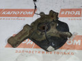 кулак поворотный левый Nissan X-Trail T31 2007, 2.5 л., QR25, бензин, АКПП, внедорожник 5 дв., полный привод - фото №5