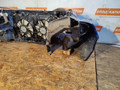 Ноускат Бампер Honda Accord 8 поколение 2009, 2.4 л., K24A, бензин, АКПП, b553p, универсал, передний привод - фото №8