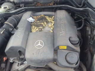 Mercedes-Benz E-Класс W210/S210 рест. S210 1999