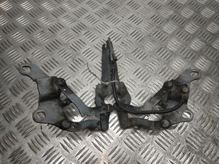 петля капота BMW 3 серия E90/E91/E92/E93 E90 2006, 2.0 л., D, M47N 204 D5, дизель, 6МКПП, седан, задний привод, правый руль, 7115263, 7115264