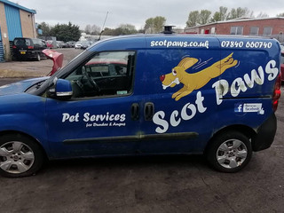 Fiat Doblo 2 2010