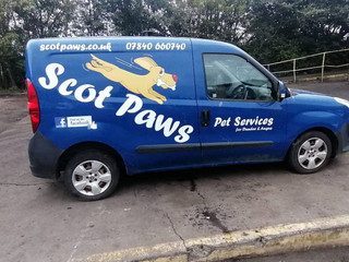 Fiat Doblo 2 2010