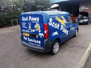 Fiat Doblo 2 2010