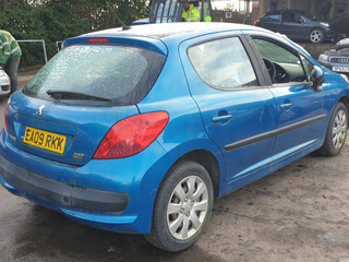 Peugeot 207 2009