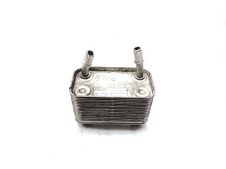 теплообменник масляного фильтра BMW X5 E53 2002, 3.0 л., D, M57 D30 (306D1), дизель, АКПП, stahlgrau / 400, внедорожник 5 дв., полный привод, правый руль, 7500754, 17107500754