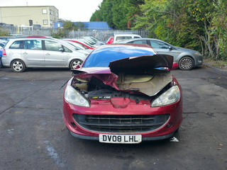 Peugeot 407 Coupe 2008