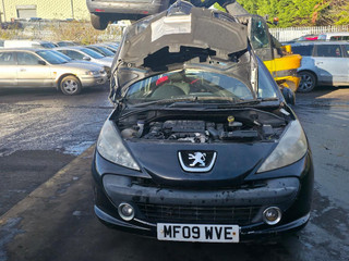 Peugeot 207 2009