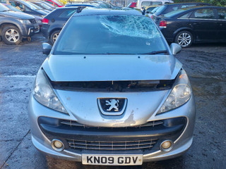 Peugeot 207 2009