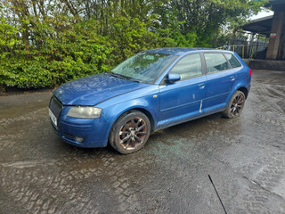 Audi A3 8P рест. 2007