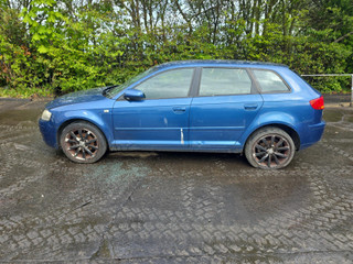 Audi A3 8P рест. 2007