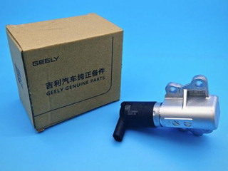 электромагнитный клапан Geely Tugella 1 поколение [рестайлинг] (2022 - 2024), 1022022600