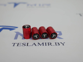 Колпачки на ниппель Tesla Model 3 1 поколение 2022