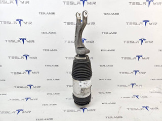 пневмостойка передняя Tesla Model X 1 поколение 2018, 1027361-00