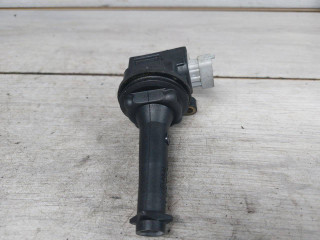 катушка зажигания Ford Kuga 1 поколение (2008 - 2013), 2.5 л., HYDC, бензин, 30713417, 1371601, 8677837, 0221604010
