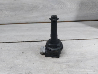 катушка зажигания Ford Kuga 1 поколение (2008 - 2013), 2.5 л., HYDC, бензин, 30713417, 1371601, 8677837, 0221604010