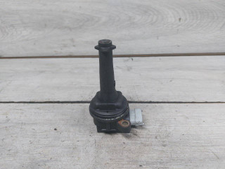 катушка зажигания Ford Kuga 1 поколение (2008 - 2013), 2.5 л., HYDC, бензин, 30713417, 1371601, 8677837, 0221604010