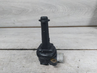 катушка зажигания Volvo S80 2 поколение (2006 - 2010), 2.5 л., B 5254 T6, бензин, 30713417, 1371601, 8677837, 0221604010