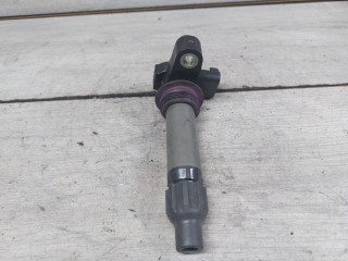 катушка зажигания Chevrolet Captiva 1 поколение (2006 - 2011), 3.2 л., 10 HM, бензин, 12618542, 12632479, 12610626, 12590990, 0997001660