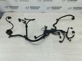 проводка двигателя BMW 6 серия F06/F12/F13 2013, 4.4 л., N63 B44 B, бензин, black sapphire metallic (475), 7599695